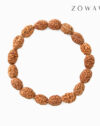 Energized 3 Mukhi (Face) Rudraksha Bracelet - Image 3