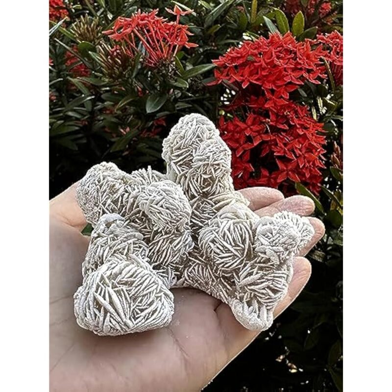 Natural Desert Rose Crystal From Mexico Weight 500ct to 600ct - Image 8