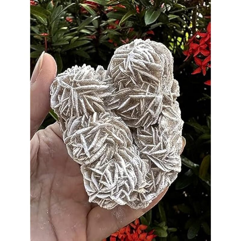 Natural Desert Rose Crystal From Mexico Weight 500ct to 600ct - Image 7