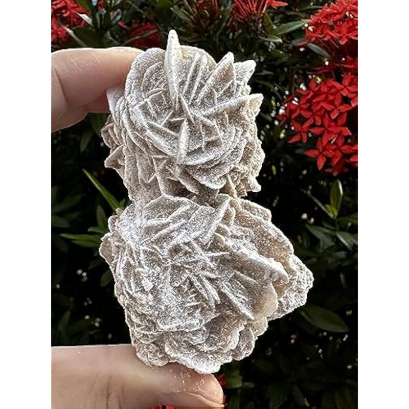 Natural Desert Rose Crystal From Mexico Weight 500ct to 600ct - Image 6