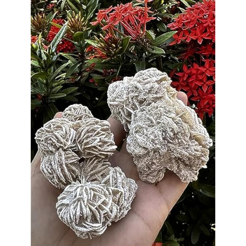 Natural Desert Rose Crystal From Mexico Weight 500ct to 600ct - Image 5