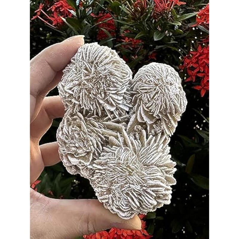 Natural Desert Rose Crystal From Mexico Weight 500ct to 600ct - Image 4