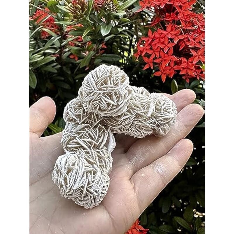 Natural Desert Rose Crystal From Mexico Weight 500ct to 600ct